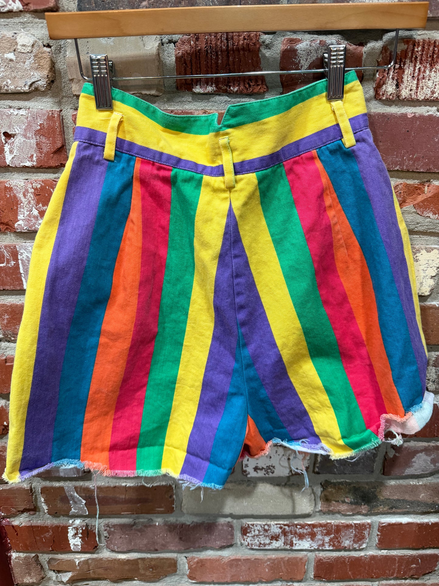 Technics Rainbow Shorts