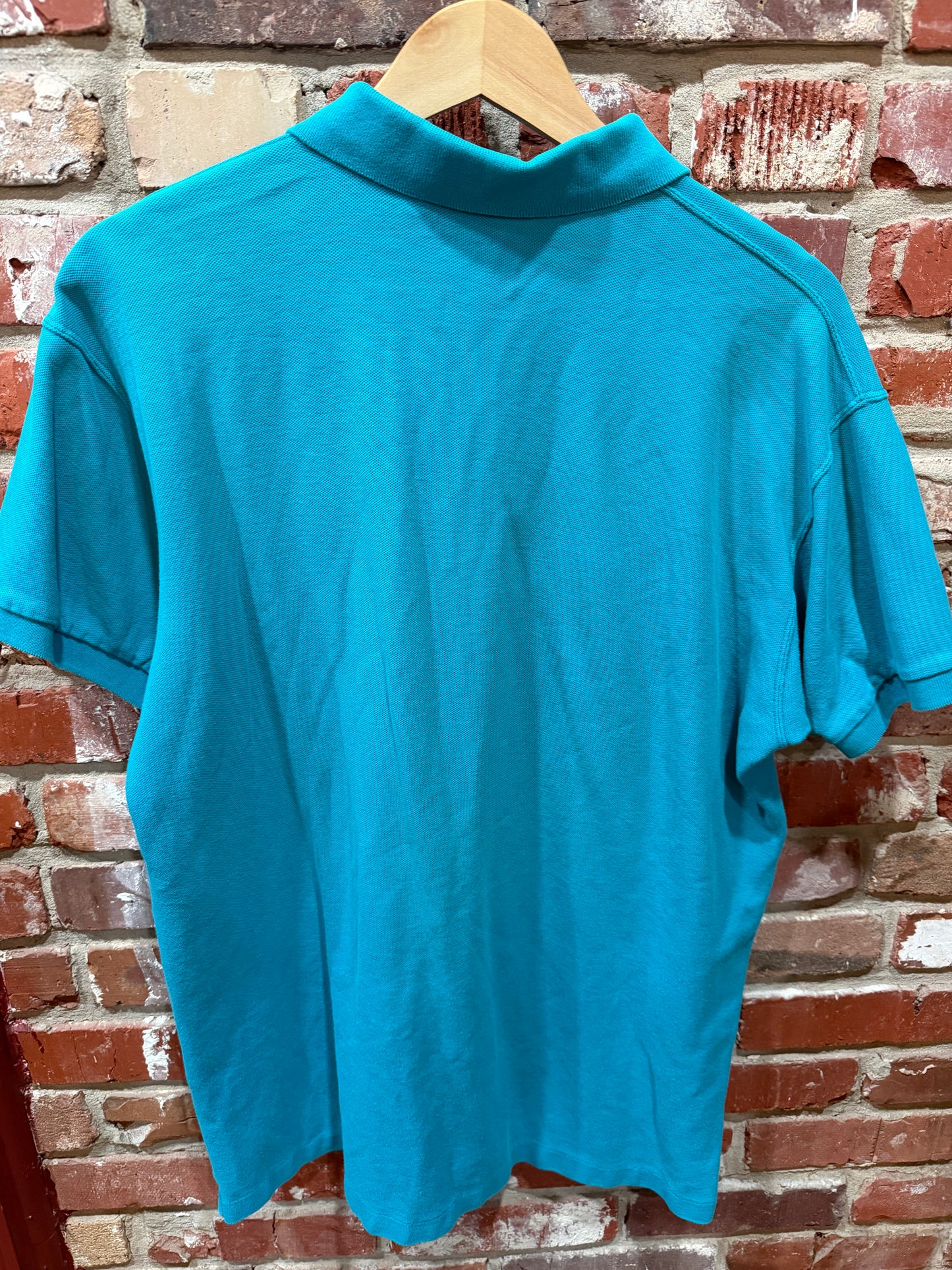 Patagonia Turquoise Polo