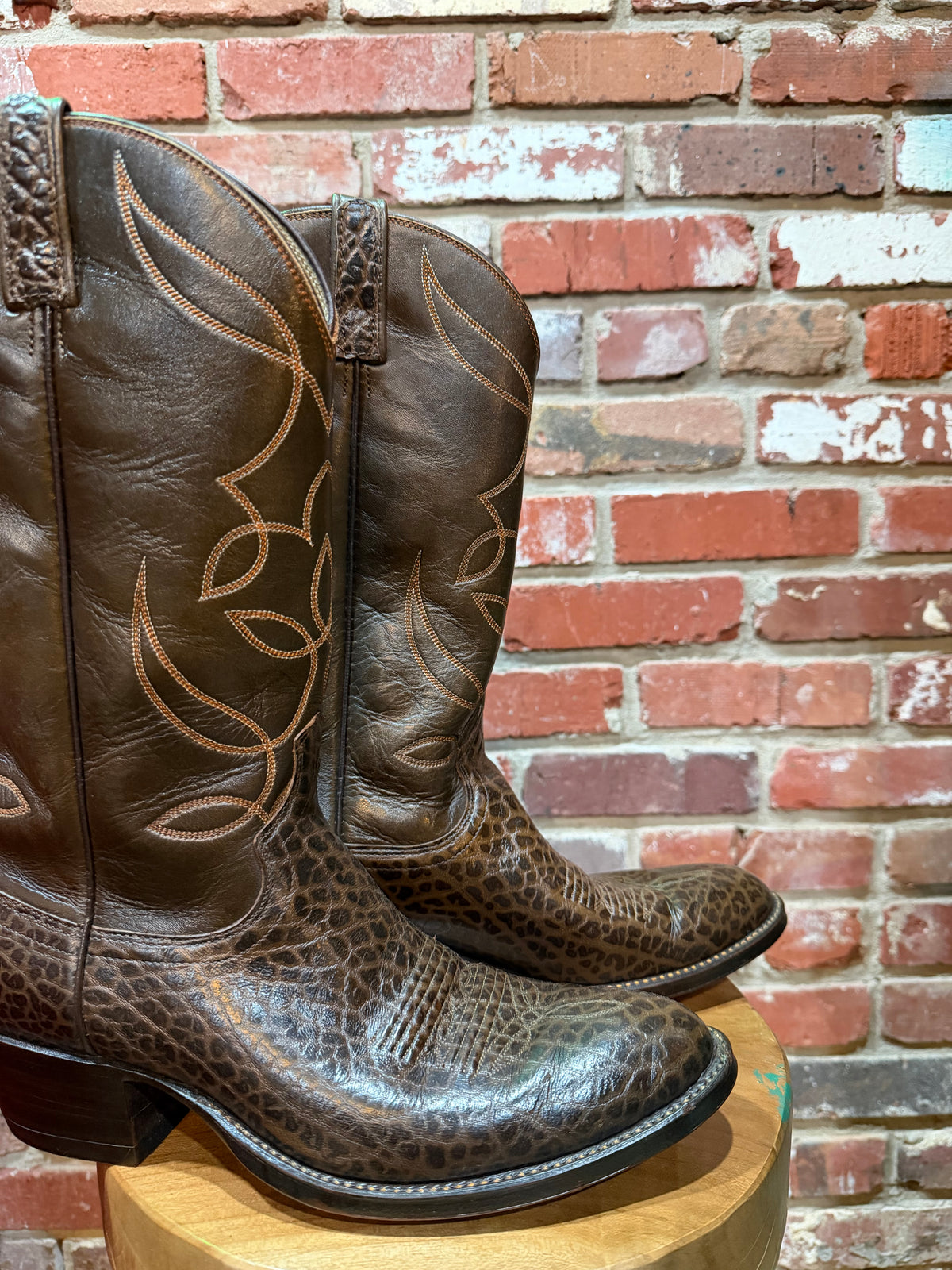 Dan Post Lizard Western Boots