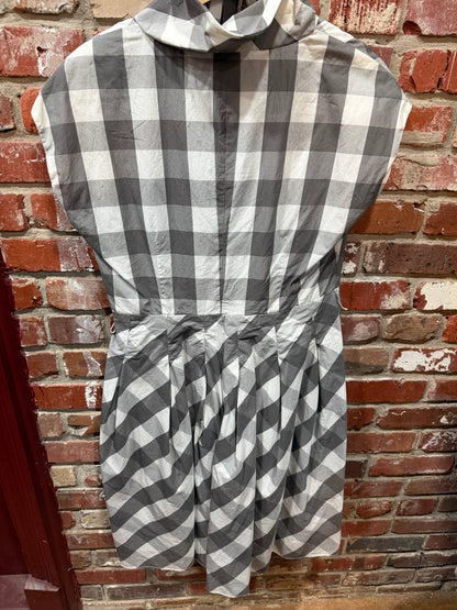 Chadwick’s Grey Gingham Dress