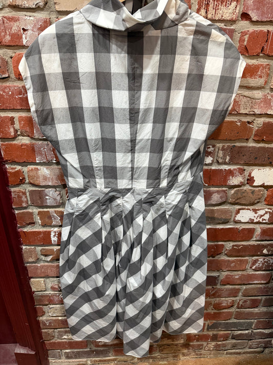 Chadwick’s Grey Gingham Dress