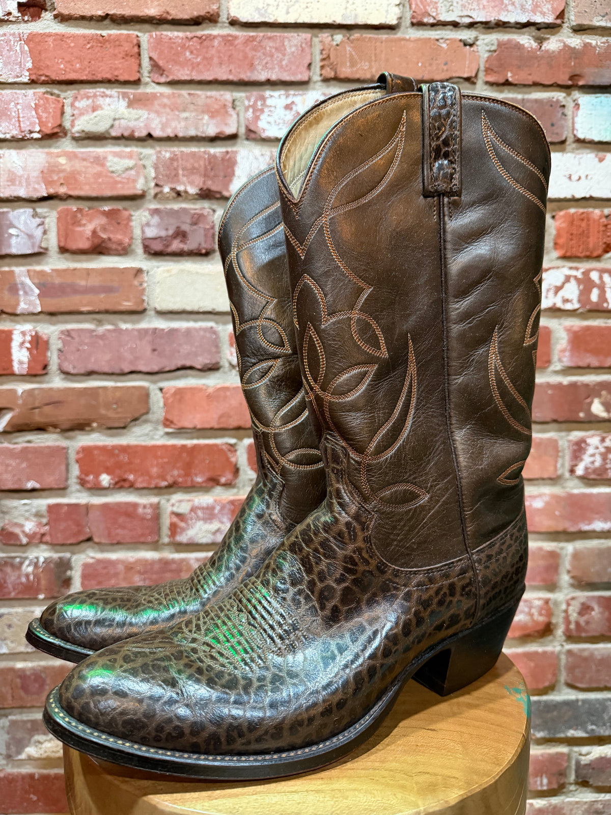 Dan Post Lizard Western Boots