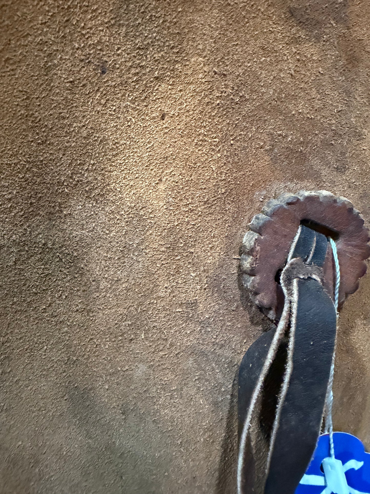 Forrest Leather Chaps