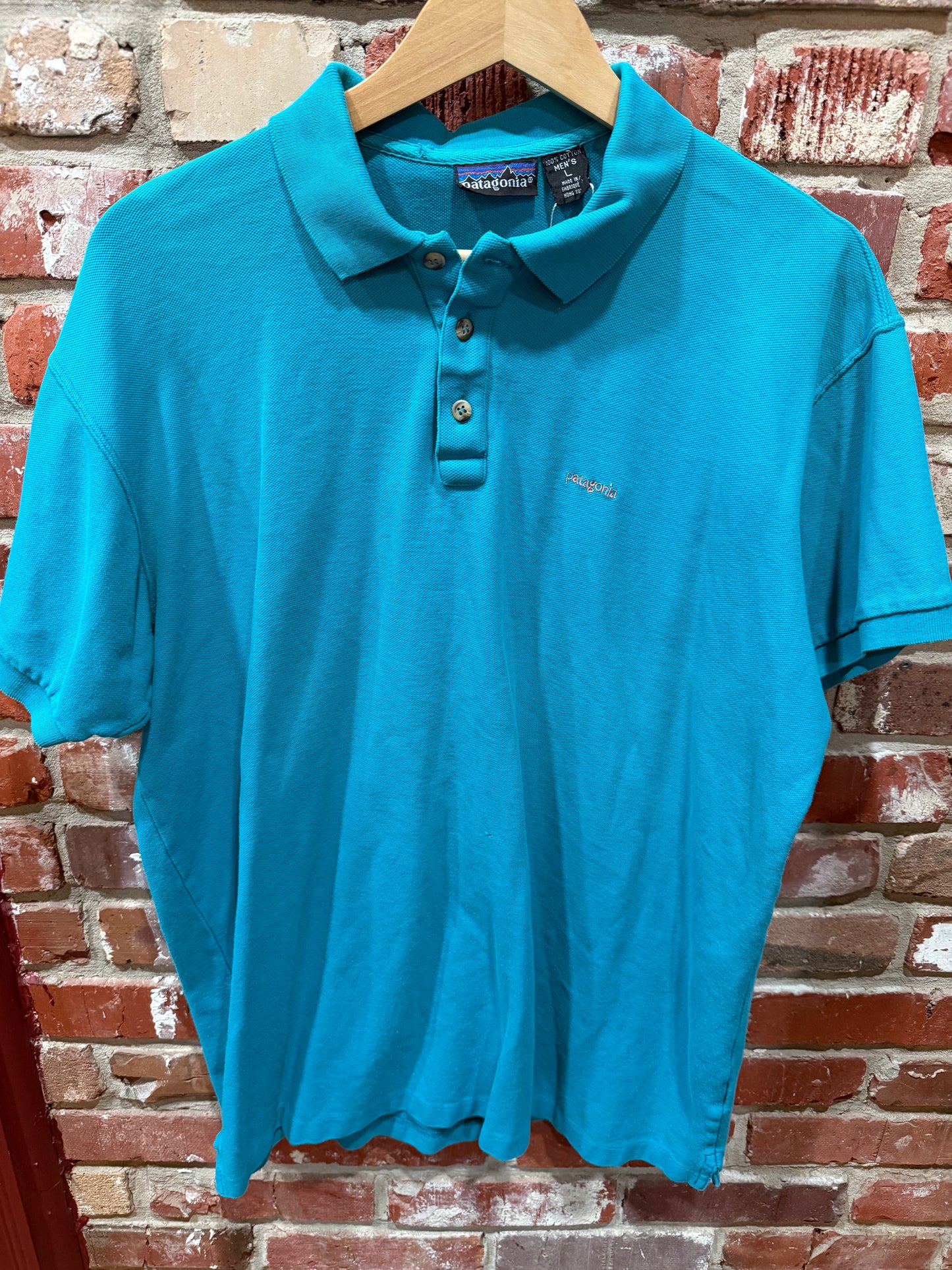 Patagonia Turquoise Polo